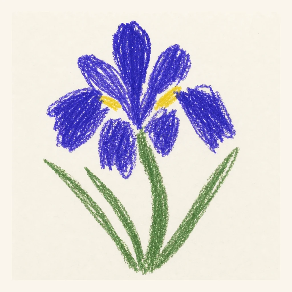 青いアヤメの花のらくがき表示